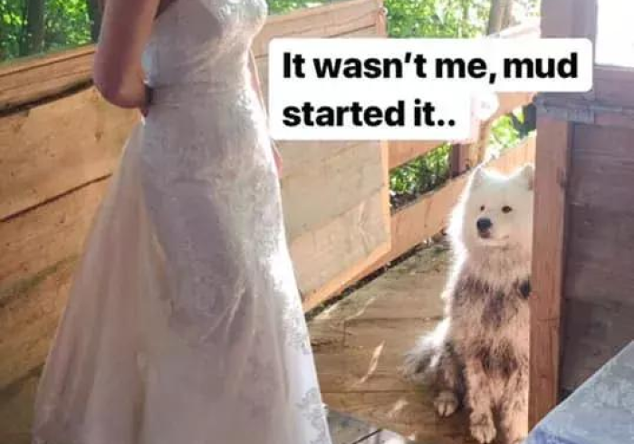 玩家测评“微信金花房卡如何购买”轻松获取房卡全渠道