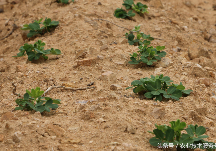 房卡秒懂“微信金花房卡如何充值”详细房卡教程