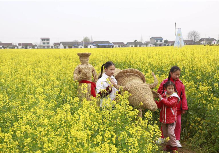 秒懂教程“新八戒牛牛房卡”获取房卡教程-哔哩哔哩