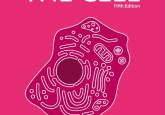 一分钟了解“微信斗牛大厅链接房卡”房卡链接获取 一分钟了解“微信斗牛大厅链接房卡”房卡链接获取