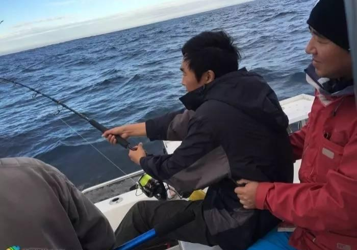 一分钟了解“微信金花房卡在哪里充”房卡链接获取