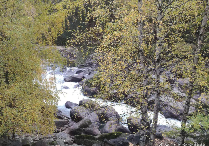 秒懂百科“微信拼三张房卡哪里买”详细房卡使用教程