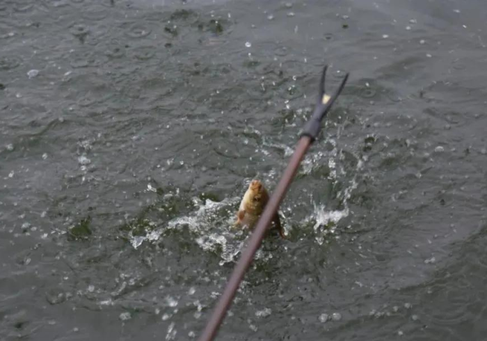 给大家讲解“微信斗牛怎么创建房间?”获取房卡教程-哔哩哔哩 给大家讲解“微信斗牛怎么创建房间?”获取房卡教程-哔哩哔哩