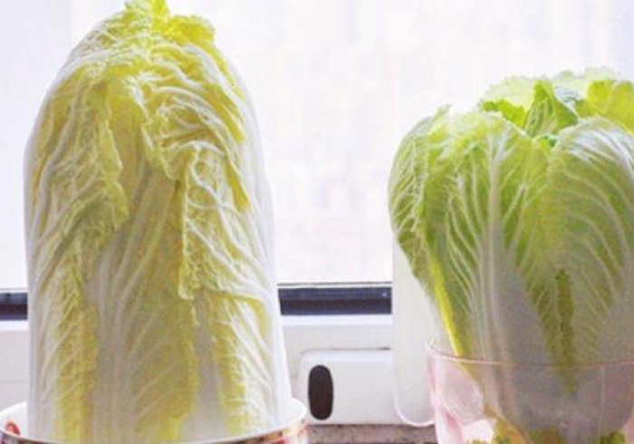 [分享]“嫩个怎么样才能天天赢!详细分享装挂步骤