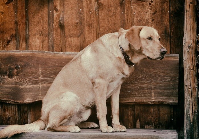 一分钟介绍使用“新道游大厅牛牛房卡充值 ”房卡详细充值 一分钟介绍使用“新道游大厅牛牛房卡充值 ”房卡详细充值