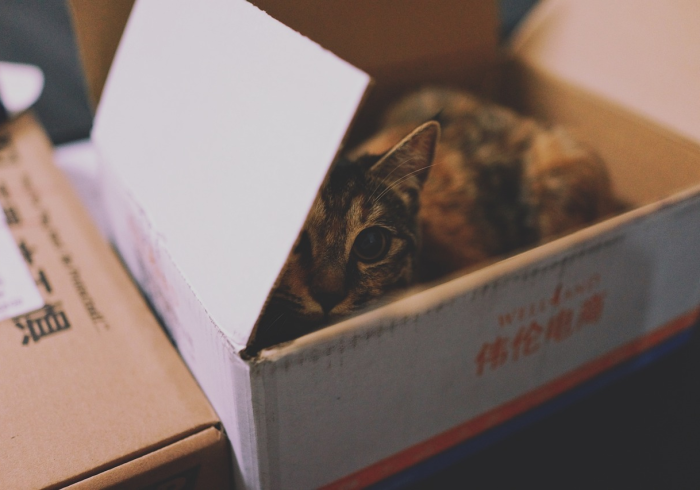 秒懂教程“新琉璃大厅牛牛金花房卡”购买房卡介绍