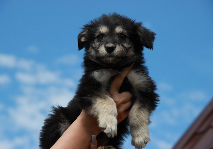 玩家测评“在哪可以创建炸 金花的房间”房卡链接获取